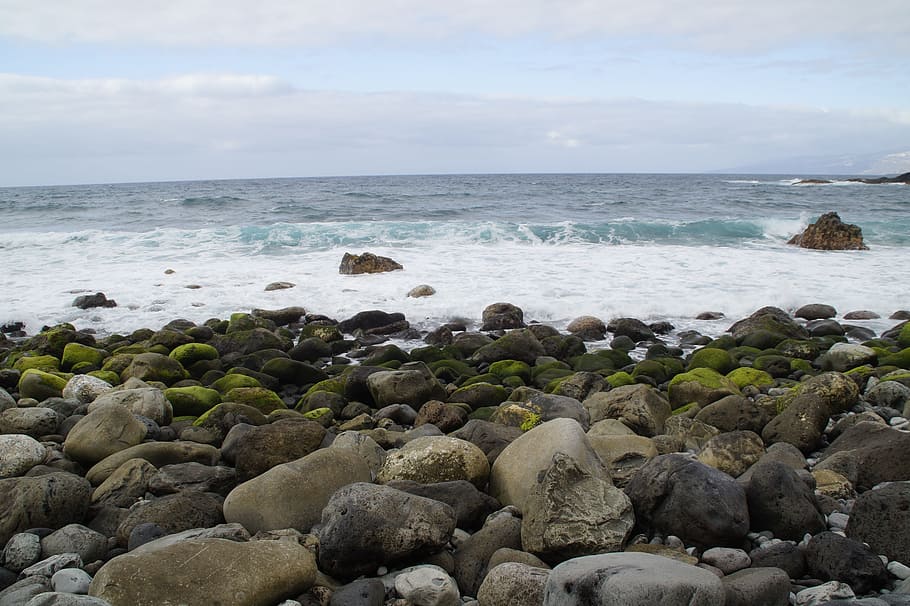 Stones, Bank, Shore, Rock, batu pantai, berbatu, berselancar, bemoost, lumut, rumput laut