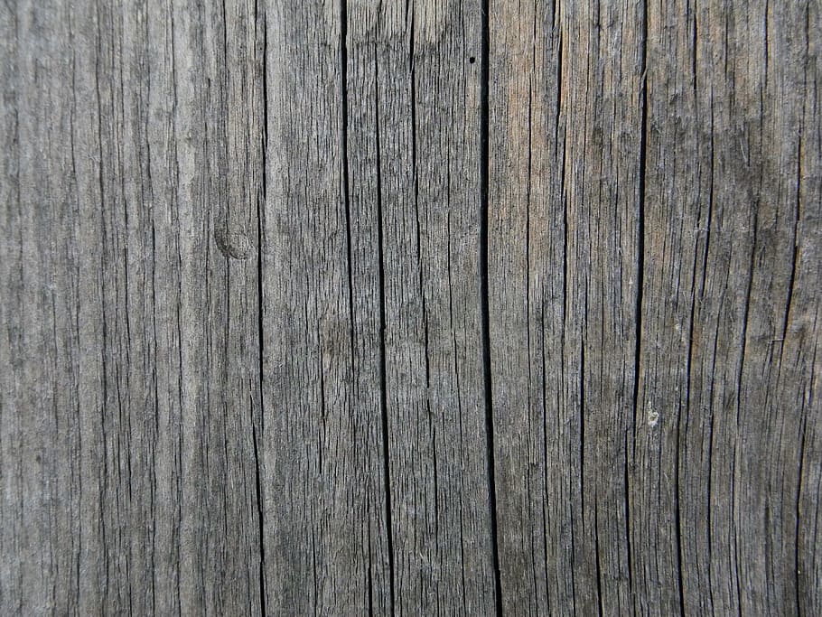 surfac de madeira marrom, árvore, árvore velha, a textura da madeira, fundo de madeira, placas, placas antigas, cerca, cerca velha, árvore cinza
