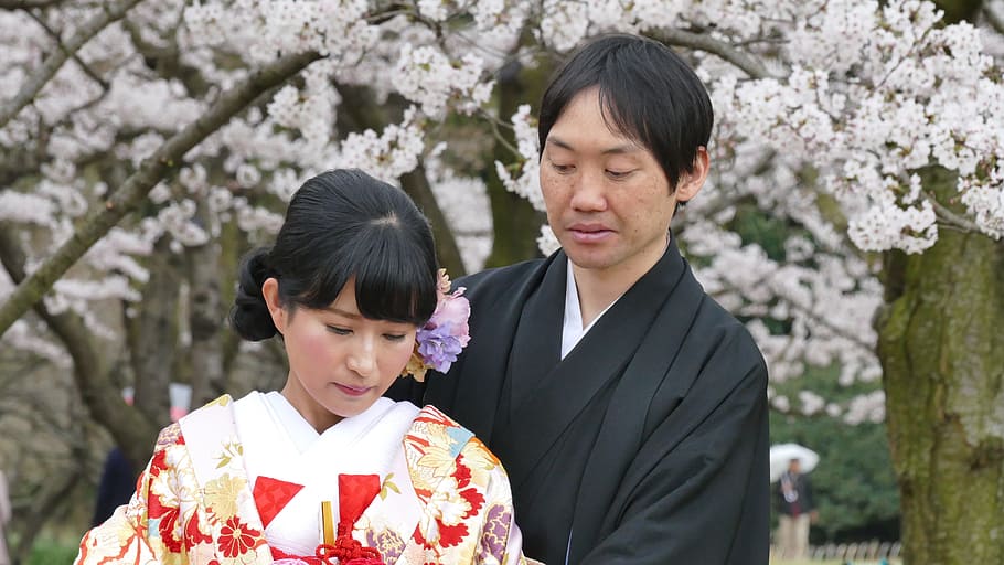 Japan, Wedding, Spring, Sakura, two people, mature adult, adult, adults only, flower, men