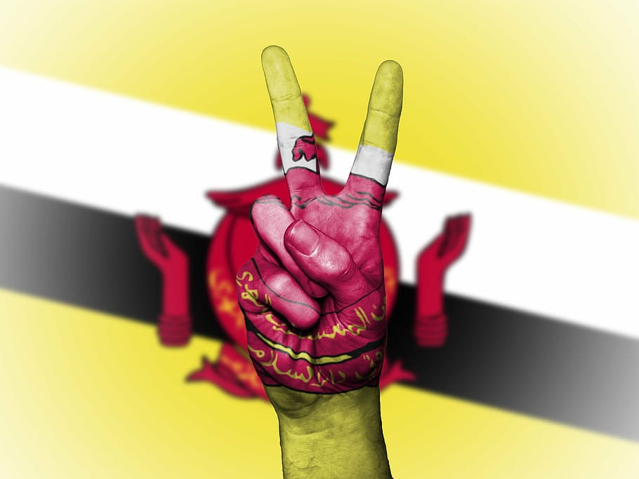 brunei, flag, peace, background, banner, colors, country, ensign, graphic, icon