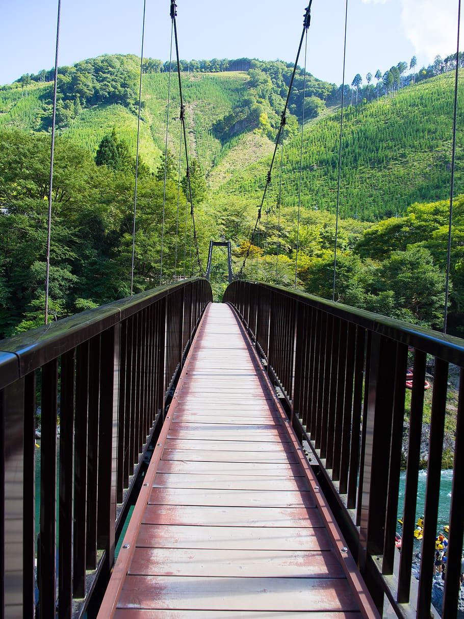 bridge, suspension bridge, mountain, architecture, travel, natural, connection, tree, the way forward, railing