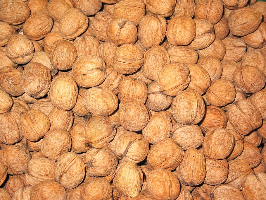 walnuts, nuts, healthy, food, nut, nutrition, eat, brown, cake, bake