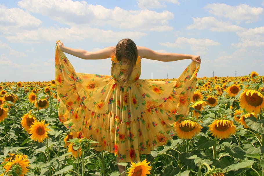 girl, wearing, yellow, dress, sunflower, nature, summer, flower, women, field