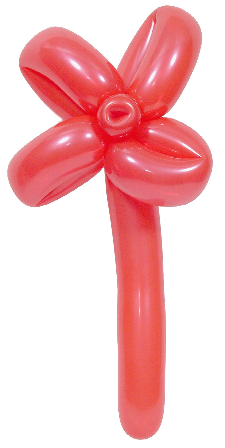 flor de balão vermelho, balão, escultura, flor, diversão, criança, colorido, brinquedo, animal, infância