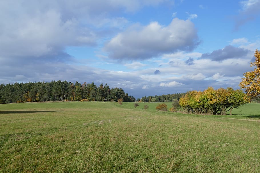 landscape, autumn, meadow, forest, deciduous trees, clouds, vision, overview, point of view, green