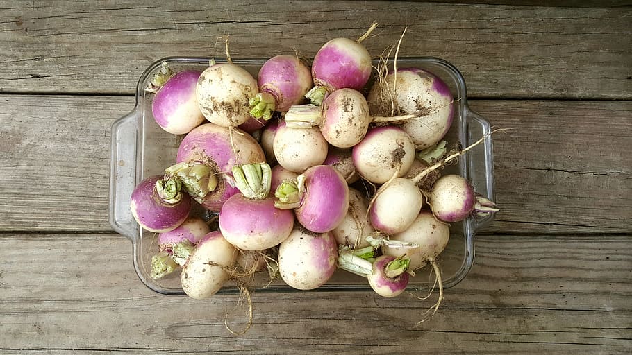 Turnip, Wood, Farm, Rustic, Vegetable, wood, farm, root, food and drink, healthy eating, freshness