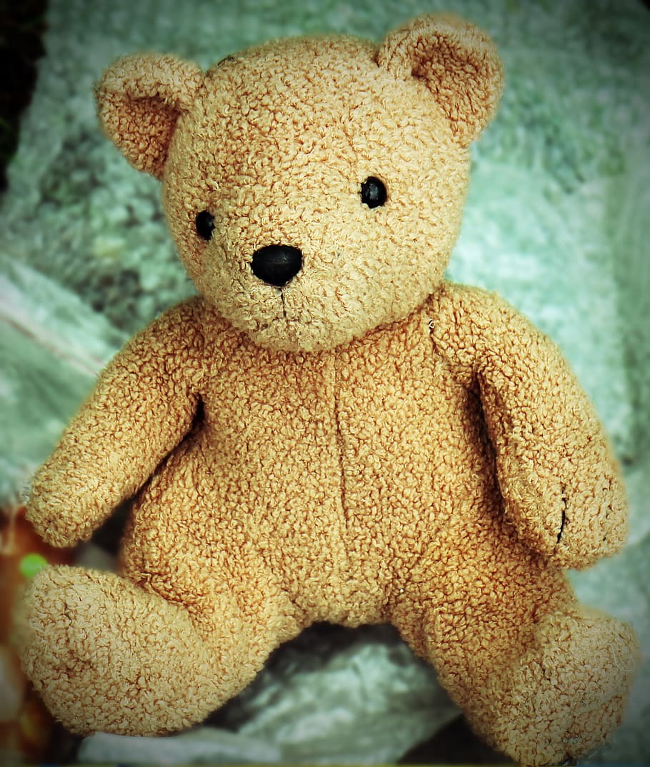 Teddy Bear, Soft Toys, teddy, stuffed animals, bear, bears, toy, cute, stuffed Toy, fluffy