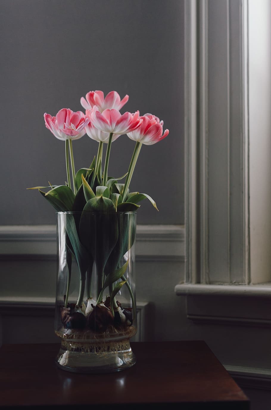 ガラス 花 花瓶 テーブル ディスプレイ 工場 開花植物 屋内 ガラス 素材 窓 Pxfuel
