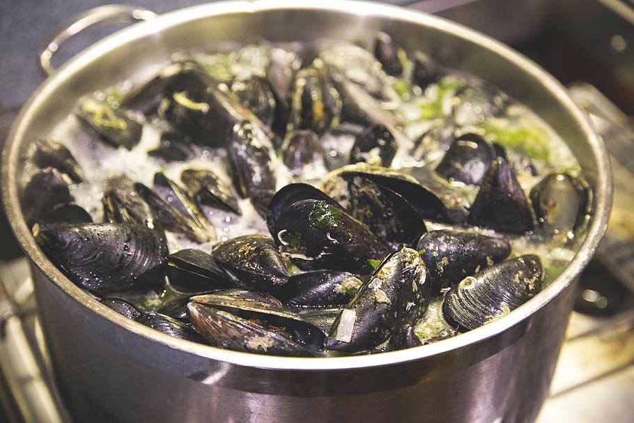 cooked, mussels, stock pot, pot, cook, cooking, seafood, hot, boil, water