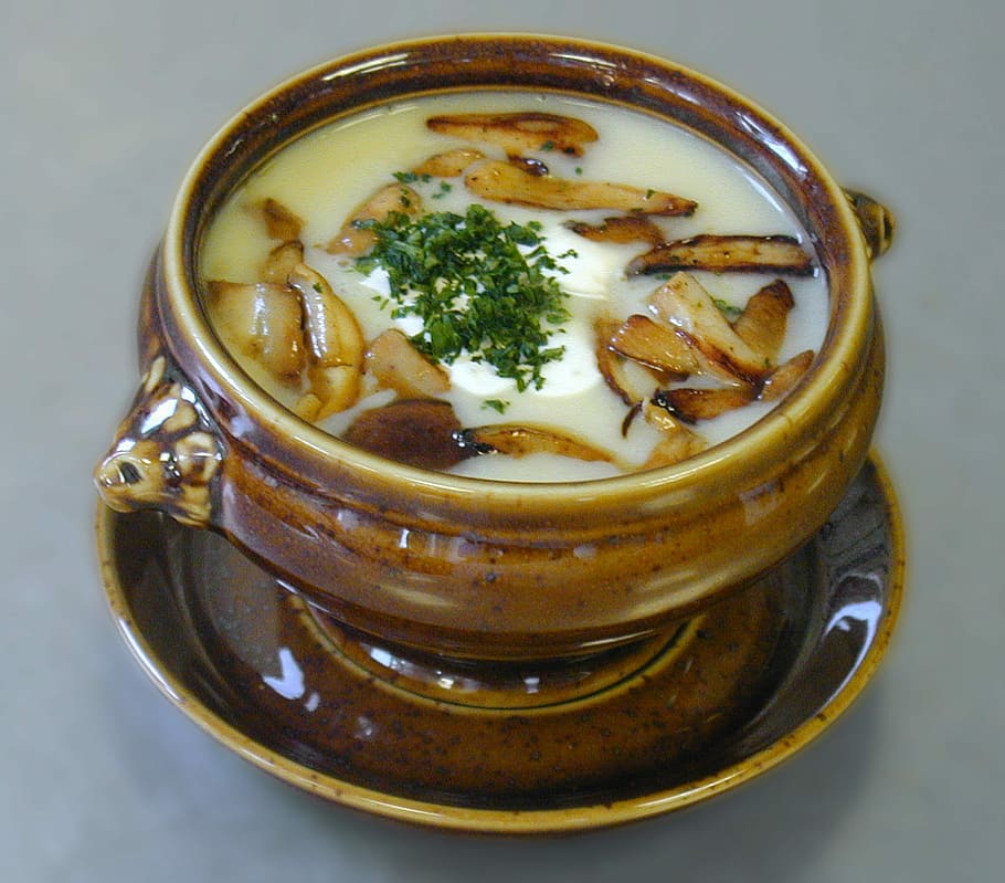 cooked, soup, served, brown, ceramic, bowl, starter, potato soup, mushrooms, sponges