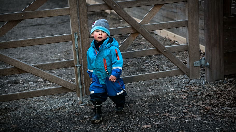 boy, wearing, blue, coat, brown, wooden, fence, son, child, people