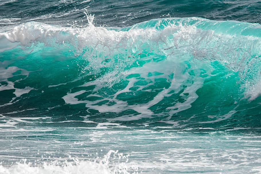 sea waves, surf, wave, sea, water, spray, foam, splash, ocean, nature