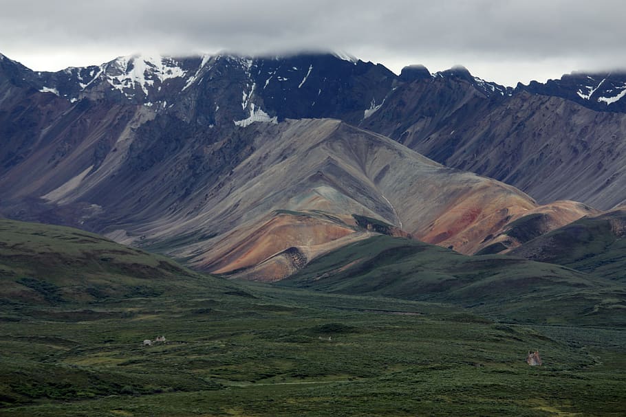 Denali, Alaska, naturaleza, paisaje, montaña, cordillera, pintorescos, valle, medio ambiente, pintorescos - naturaleza