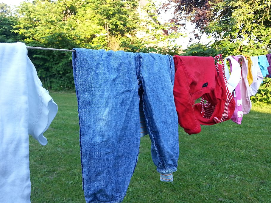 clothes line, laundry, wash, depend, clothing, clothespins, hanging, plant, textile, drying