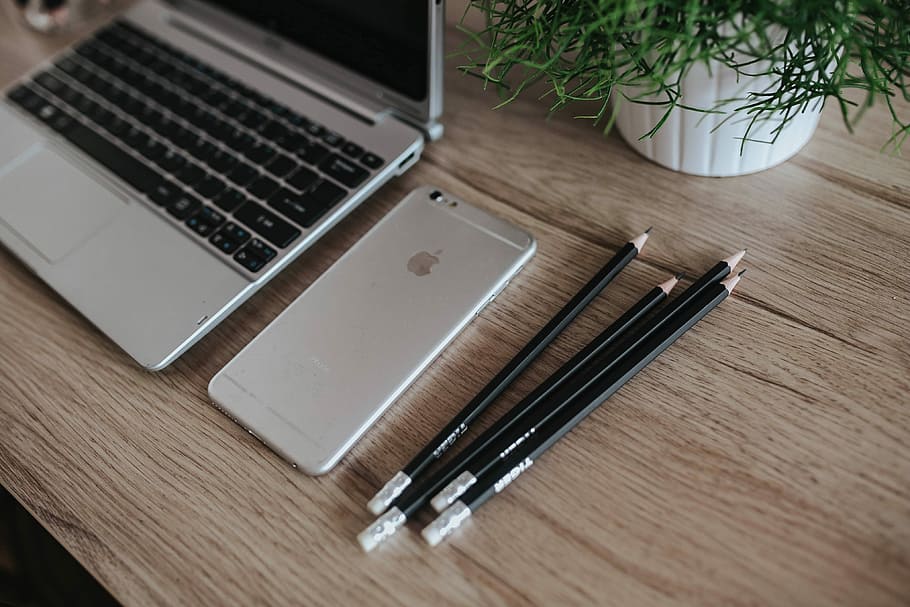laptop acer plateada, de madera, escritorio, verde, planta, lápices, plata, Acer, laptop, planta verde