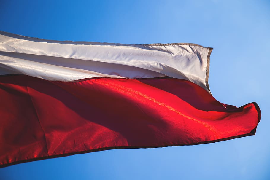 banner, colors, country, flag, independence, national, patriotic, patriotism, poland, polish