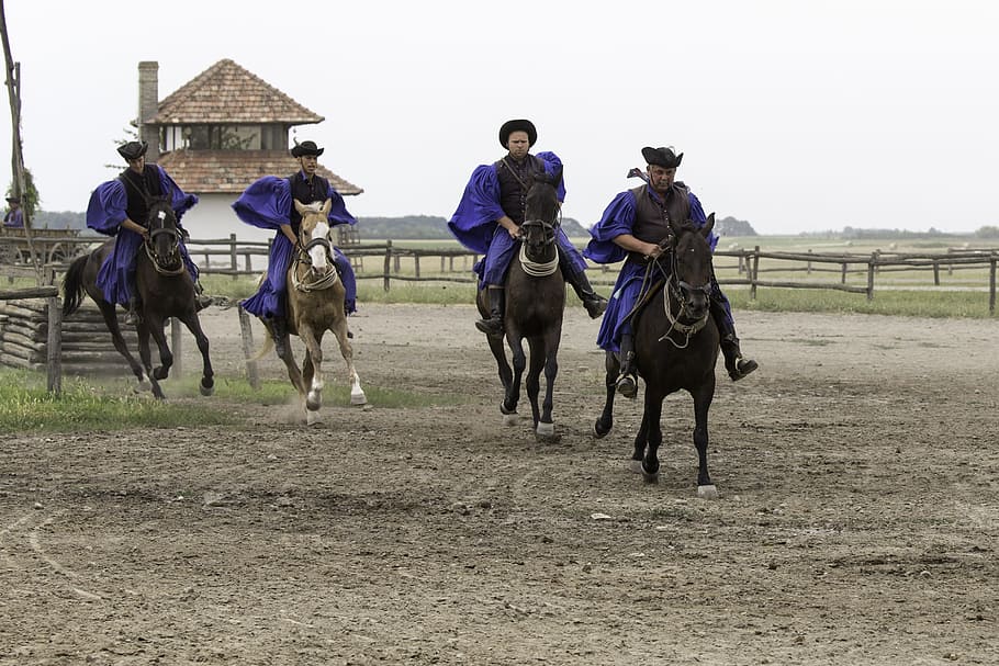 puszta horse farm, Puszta, Horse Farm, Hungary, galloping horseman, horse, horseback riding, field, protection, domestic animals