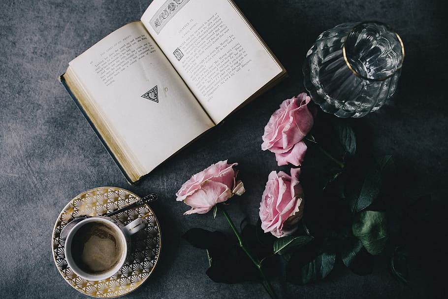 mawar, pedalaman, beristirahat, bersantai, Book, penting, bacaan, waktu, mawar merah muda, buku-buku