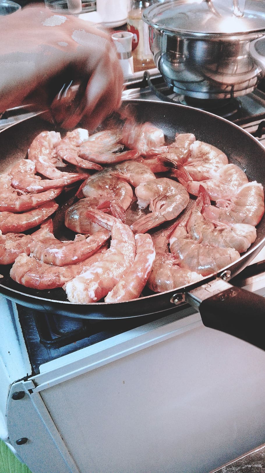 salted shrimps, Salted, shrimps, focos, healthy food, seafood, food, meat, cooking, freshness