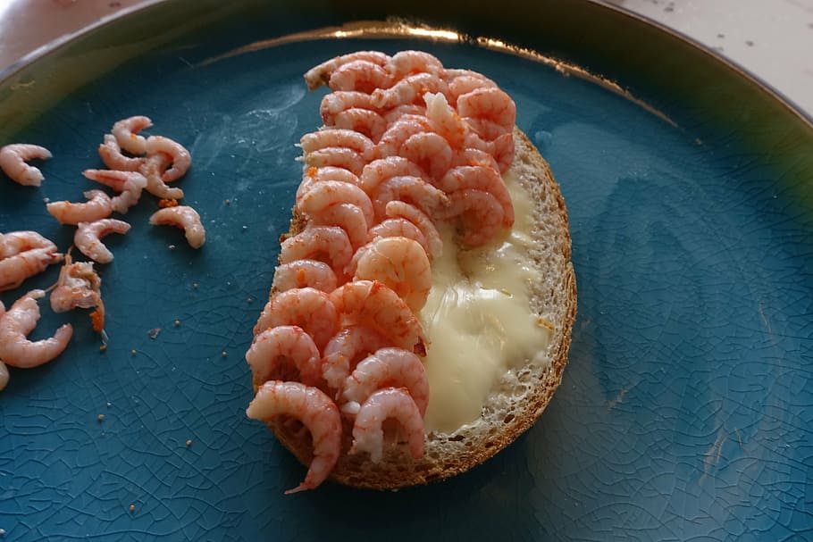 fjord shrimp, prawns, cooked, food, dining, seafood, danish shrimps, spring, must, delicacy