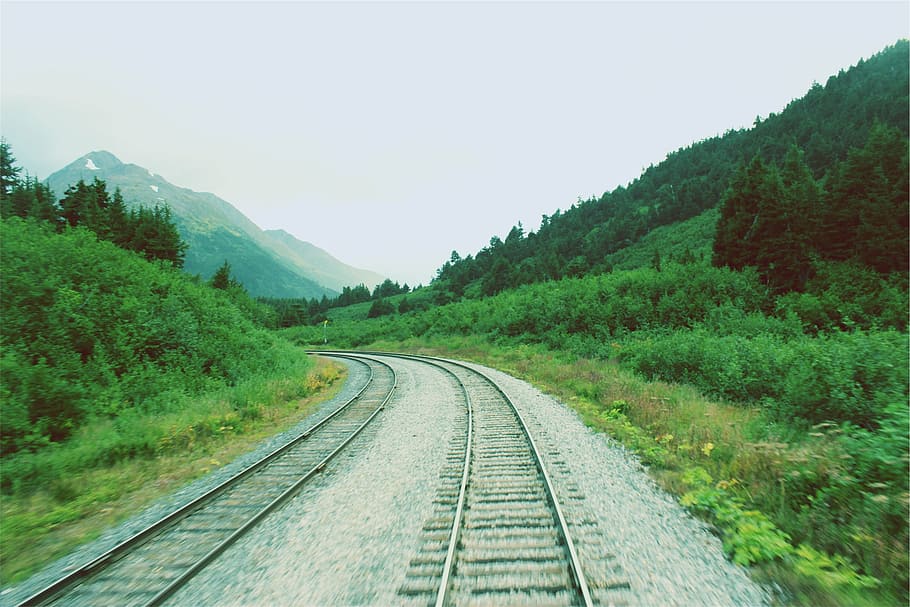 estrada de ferro, cercado, plantas, árvores, nublado, céu, cinza, trem, trilhos, verde