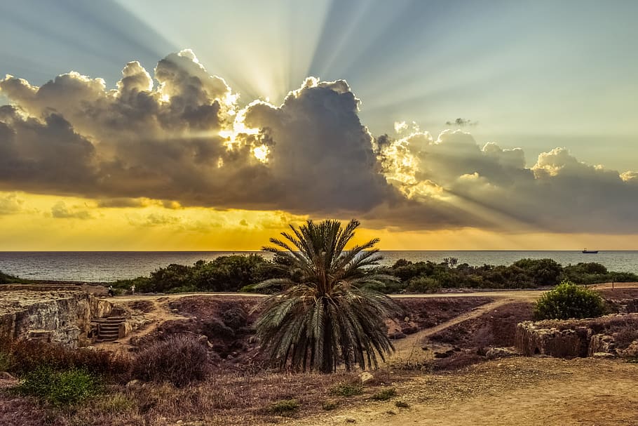 cyprus, paphos, tombs of the kings, archaeological site, landscape, palm tree, ruins, sky, clouds, spectacular
