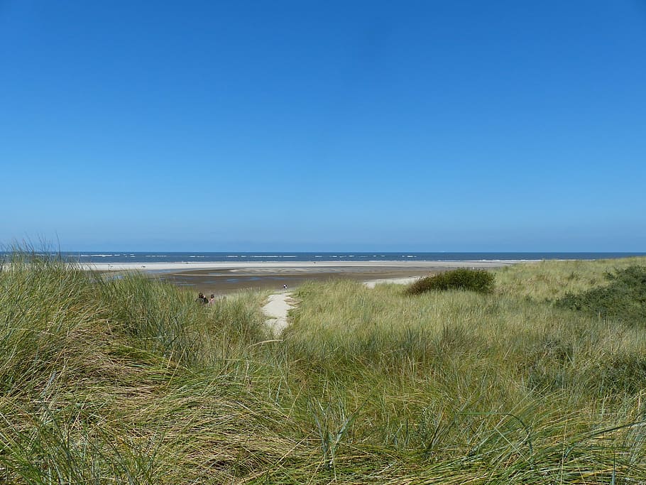 langeoog, east frisia, island, coast, north sea, sea, salt air, beach, sun, bright blue sky