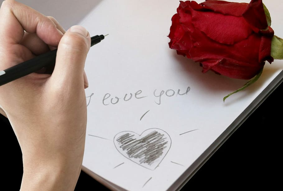 私は愛, テキスト, 書かれた, 白, 紙, 赤, バラ, 書き込み, メッセージ, 私はあなたを愛して