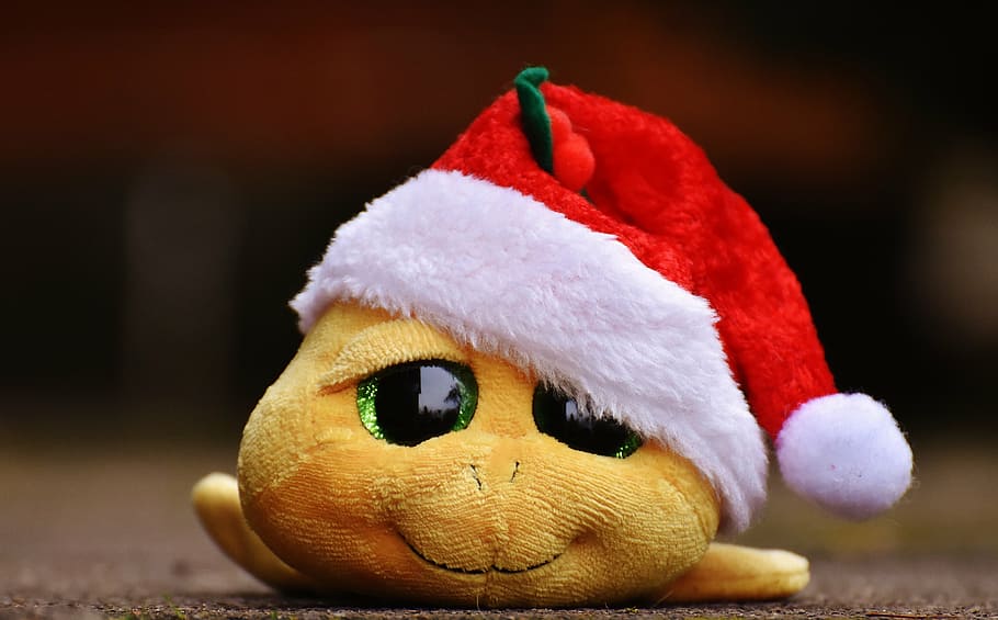 yellow, animal, plush, toy, wearing, santa hat, christmas, turtle, stuffed animal, soft toy