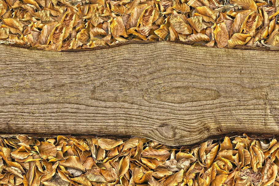 brown, slab, fried, leaf, wood, board, leaves, batten, background, wooden board