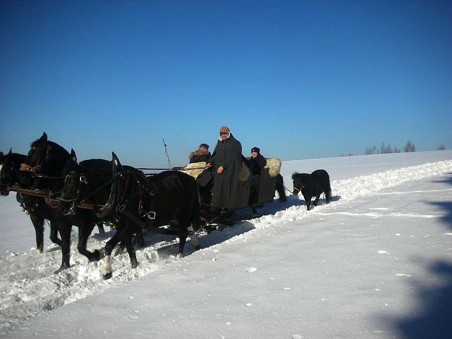 vogtland, landscape, winter, snow, ice, sky, clouds, sled, people, horses