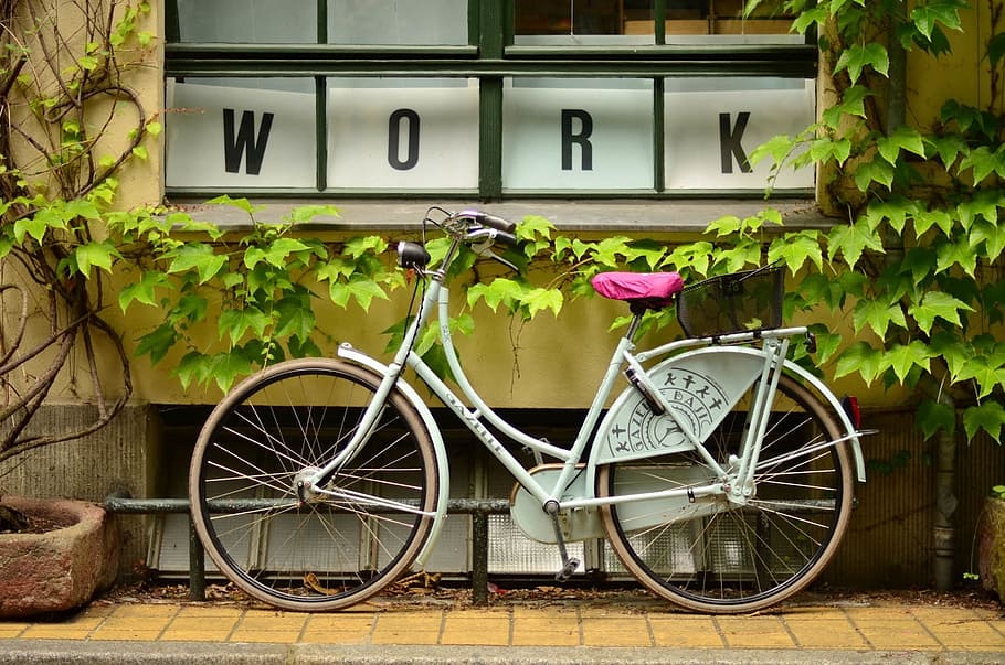 female, beach cruiser, parked, wall, work signage, bike, bicycle, plants, pots, leaves