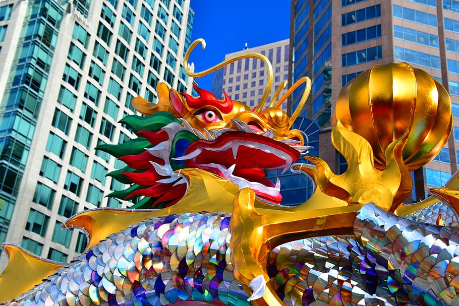 city dragon, chinese dragon, picturesque, events, chinese festival, chinese culture, tradition in the city, representation, multi colored, art and craft