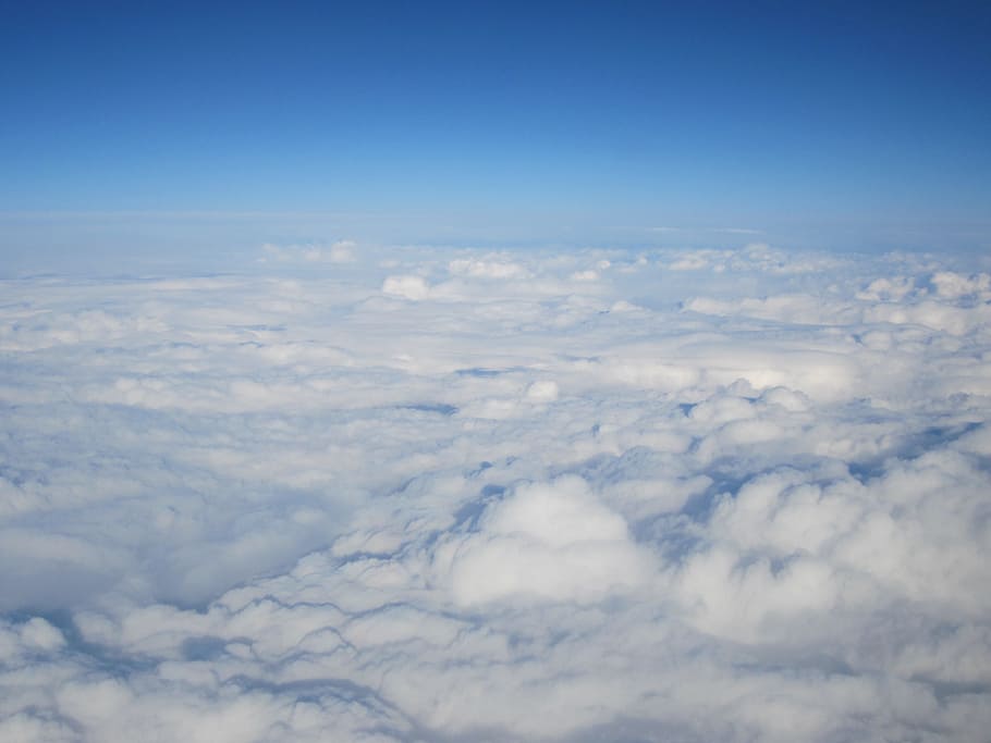 white clouds, clouds, sky, above the clouds, selva marine, clouds animals, flight, blue, summer, dom