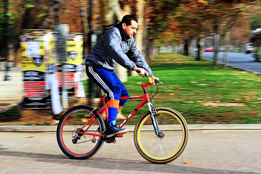 panning, photography, man biking, forest park, santiago, chile, cyclist, bike, bicycles, park