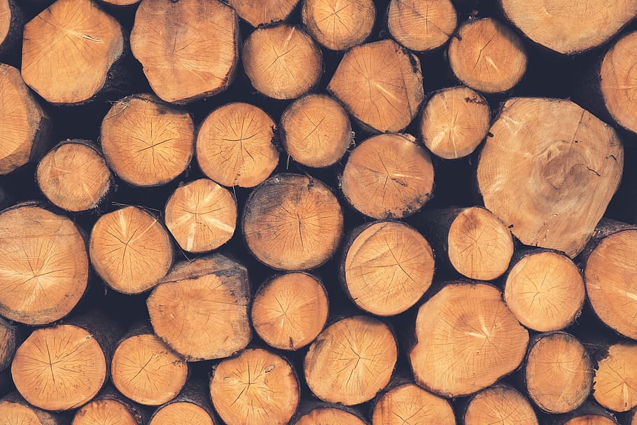 wood, lumber, logs, nature, full frame, backgrounds, log, firewood, timber, wood - material