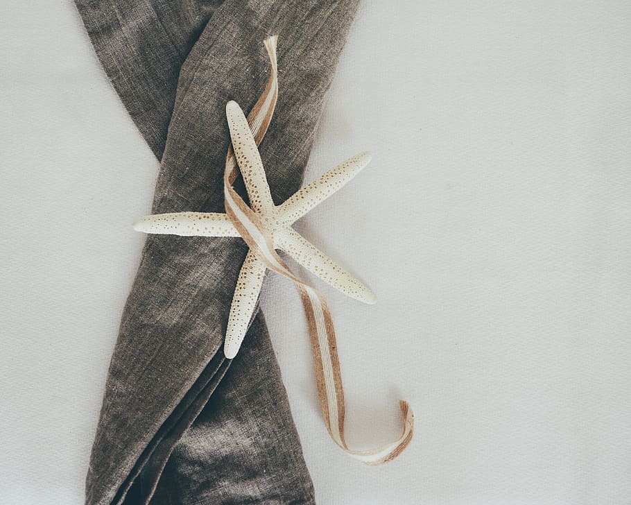 starfish, looking down, from above, linen, still life, nature, soft tones, soft, nautical, neutral tones