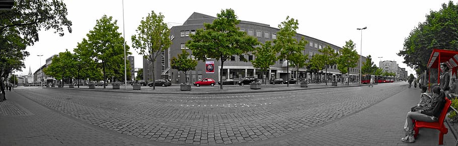 panorama, kiel, stop, bus, bus stop, city, tree, street, plant, transportation