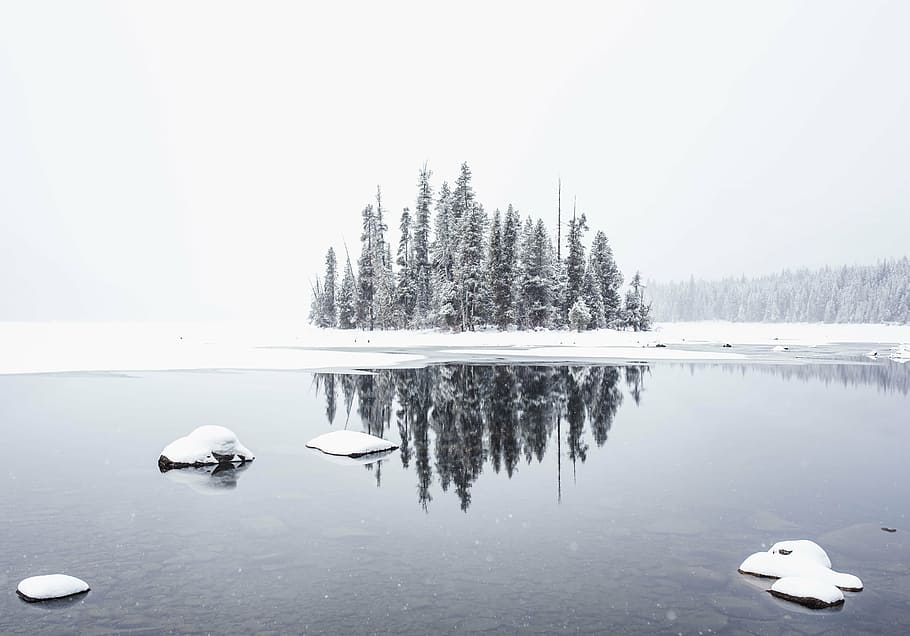 snow, capped, trees, body, water, winter, white, cold, weather, ice