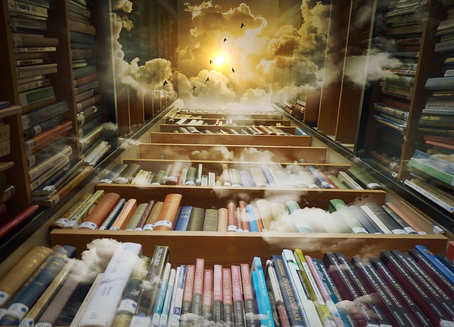 assorted books, library, sky, birds, mystical, clouds, sun, fantastic, mood, atmospheric