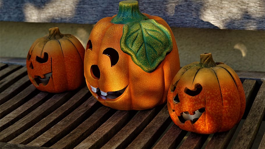 background, decoration, autumn, pumpkins, heloween, wooden bench, front yard, sunny, orange, green