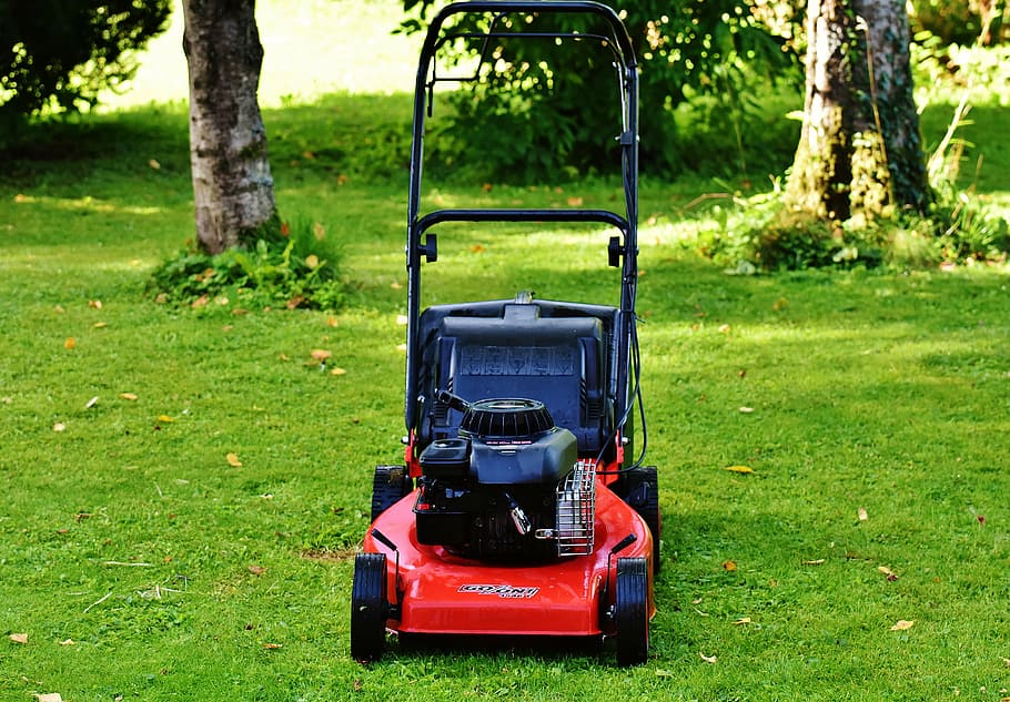 red, black, push, gardening, mow, cut grass, grass surface, garden, lawn mowing, technology