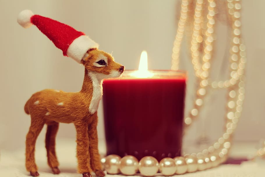deer, red, white, hat, lighted, candle, beaded, necklace photography, white hat, necklace