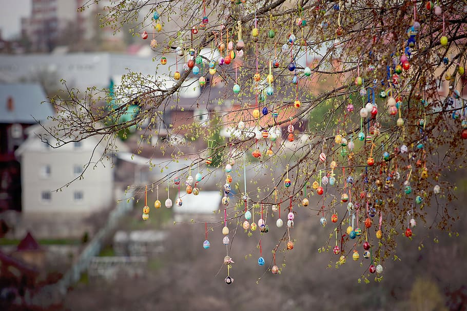 selective, focus photography, tree, hanging, decors, houses, trees, branches, stems, ornaments