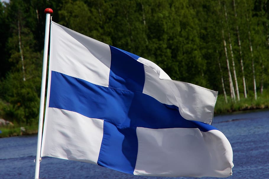 flag of finland, blue cross flag, finnish, flies, blue and white, patriotism, flag, nature, tree, blue