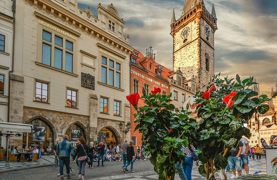 Prague, Astronomical, Clock, Clock, Tower, Old, prague, astronomical, clock, tower, town, praha, tourism