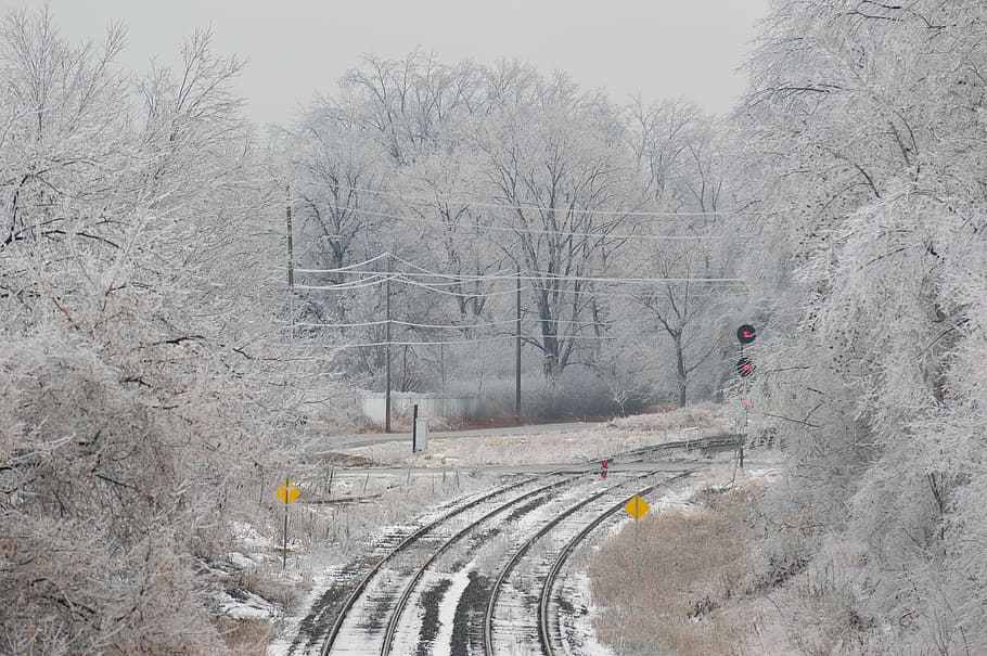 Ferrocarril, pistas, cruce, señal, invierno, hielo, temporada, congelado, nieve, naturaleza