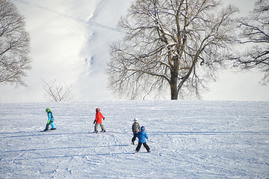 four, children, playing, snow, daytime, ski lessons, exercise hills, black forest, ski run, children hill