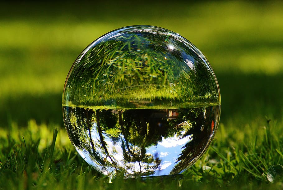 decoración de globo de nieve, bola de cristal, reflejo, prado, jardín, hierba, reflexión, bola, sobre, vidrio