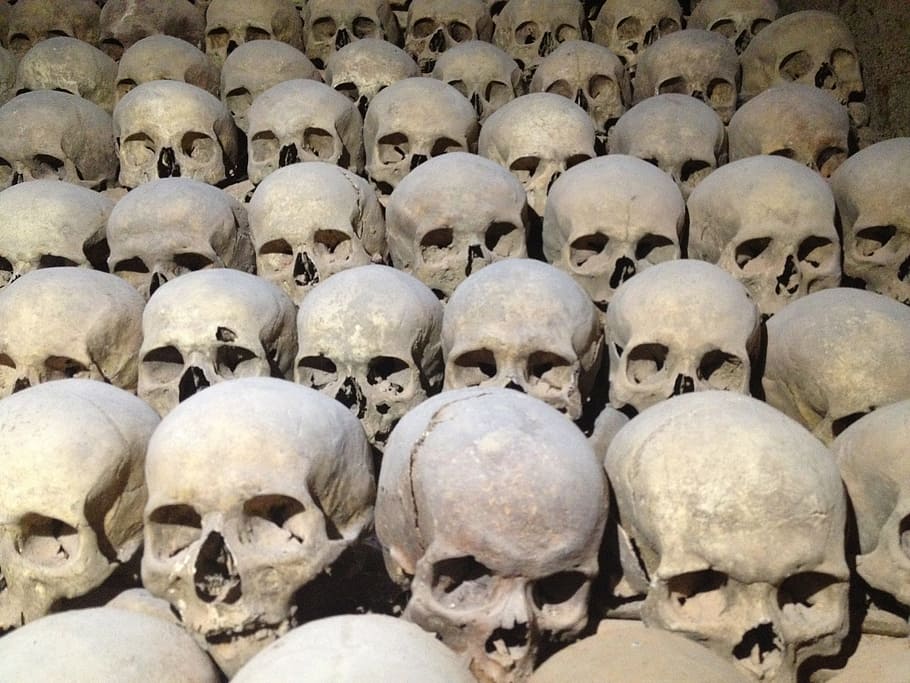 human skull lot, skull, cranium, charnel-house, ossuary, historical, brno, czech republic, human skull, human skeleton